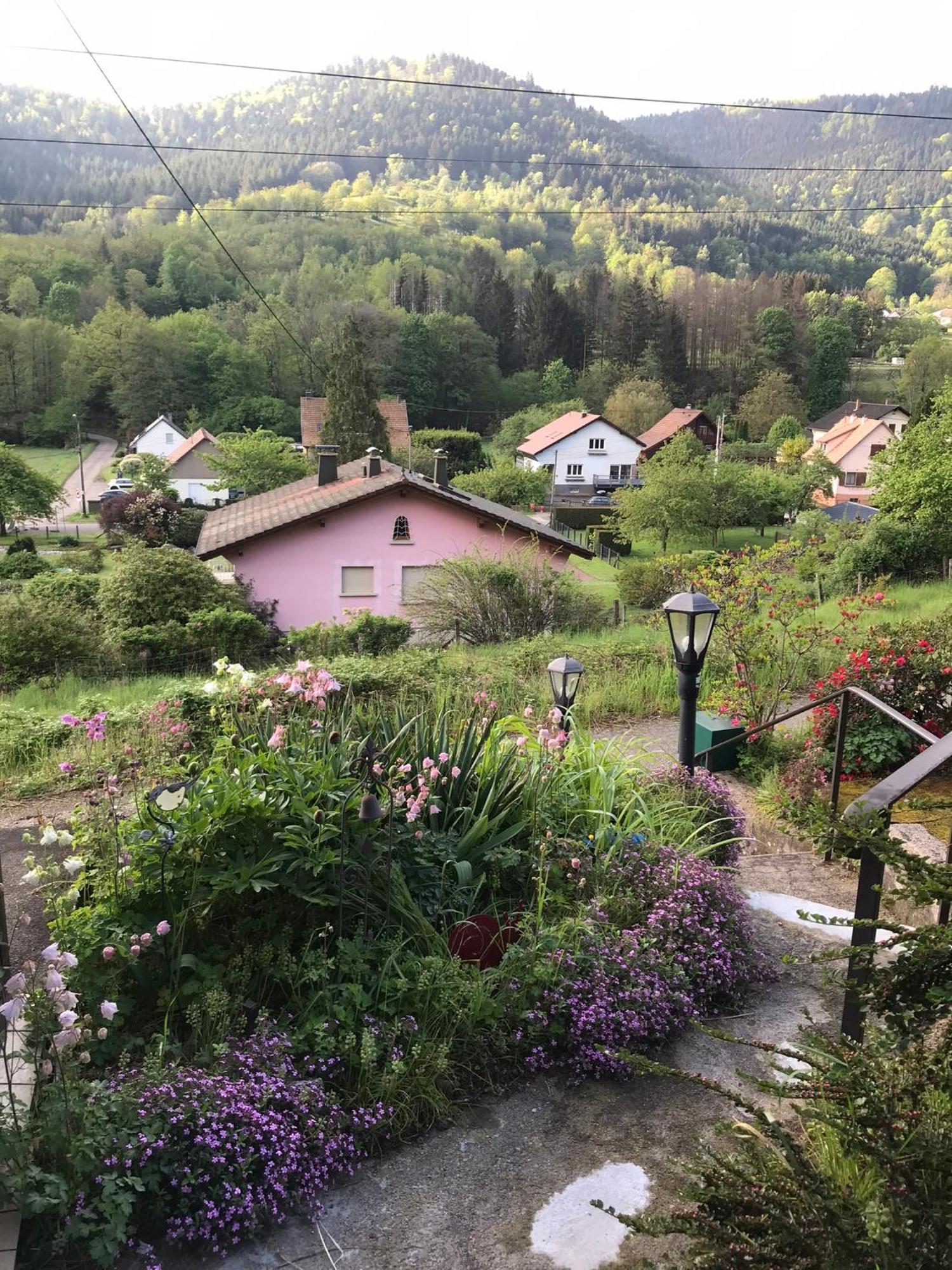 Gite Monts Et Merveilles Mollau Exterior foto